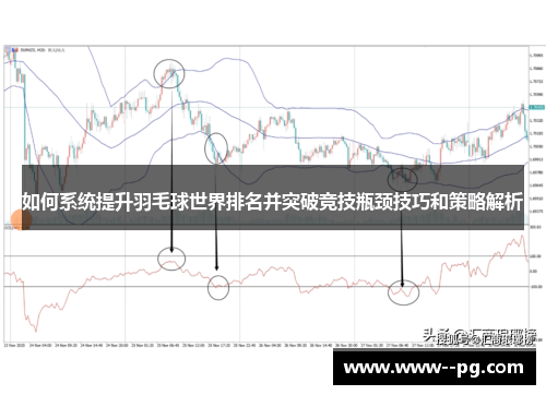 如何系统提升羽毛球世界排名并突破竞技瓶颈技巧和策略解析