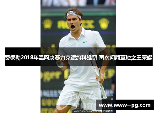 费德勒2018年温网决赛力克德约科维奇 再次问鼎草地之王荣耀